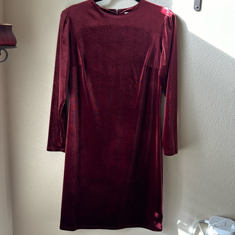 Velour puff sleeve long sleeve dress. Worn once.